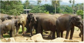 Travel story from Sri Lanka
